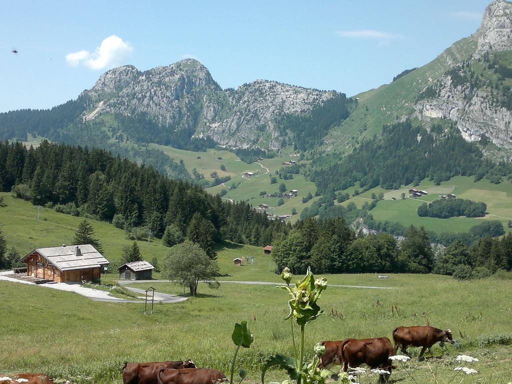 ル・グラン・ボルナン Luxurious Chalet In Le Chinaillon With Saunaヴィラ エクステリア 写真