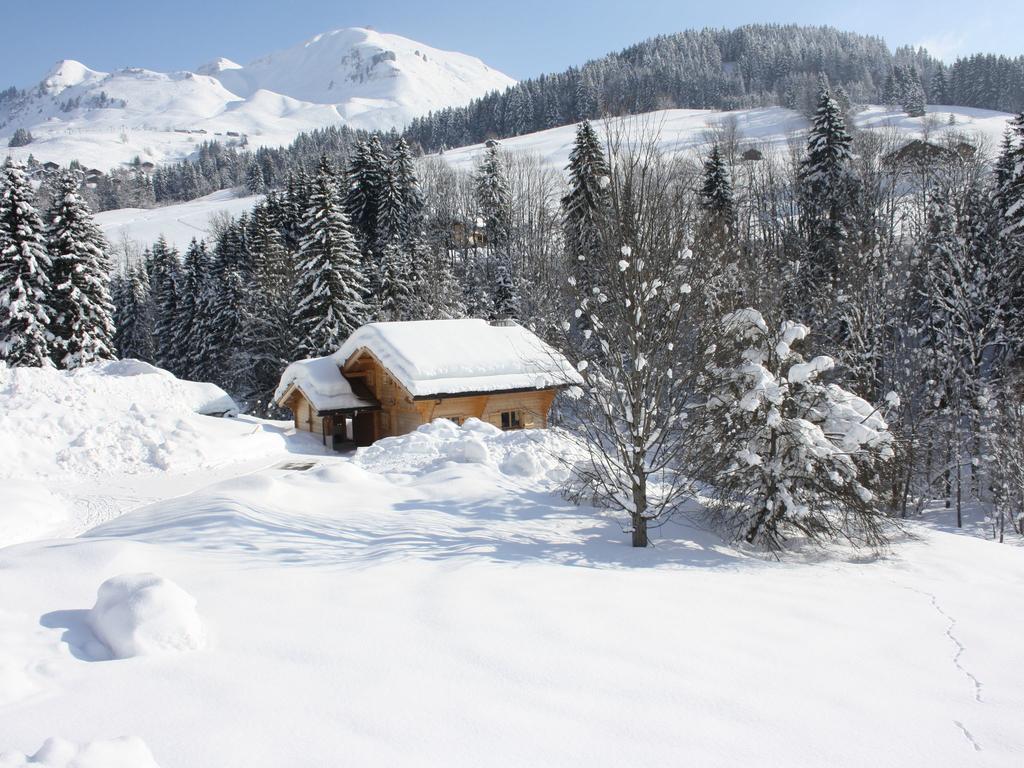 ル・グラン・ボルナン Luxurious Chalet In Le Chinaillon With Saunaヴィラ エクステリア 写真